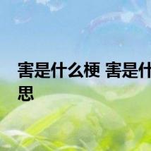 害是什么梗 害是什么意思