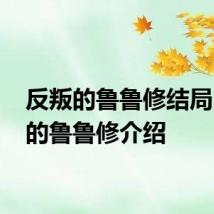 反叛的鲁鲁修结局 反叛的鲁鲁修介绍