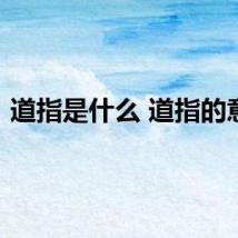 道指是什么 道指的意思