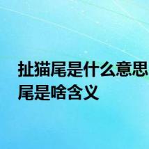 扯猫尾是什么意思 扯猫尾是啥含义