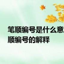笔顺编号是什么意思 笔顺编号的解释