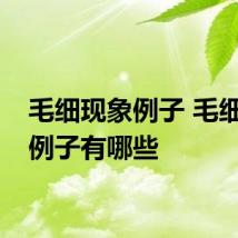 毛细现象例子 毛细现象例子有哪些