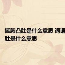 挺胸凸肚是什么意思 词语挺胸凸肚是什么意思