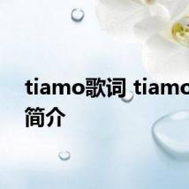 tiamo歌词 tiamo歌曲简介