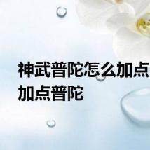 神武普陀怎么加点 如何加点普陀