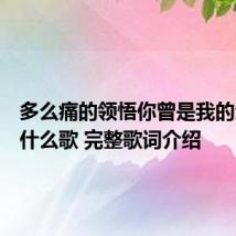 多么痛的领悟你曾是我的全部是什么歌 完整歌词介绍