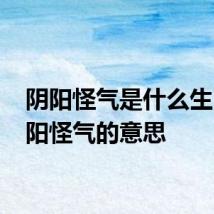 阴阳怪气是什么生肖 阴阳怪气的意思