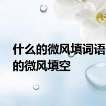 什么的微风填词语 什么的微风填空