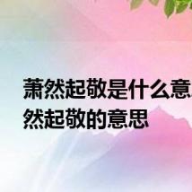 萧然起敬是什么意思 萧然起敬的意思