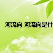 河流向 河流向是什么