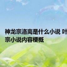 神龙宗洛离是什么小说 叶云神龙宗小说内容梗概