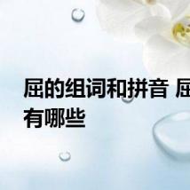 屈的组词和拼音 屈组词有哪些