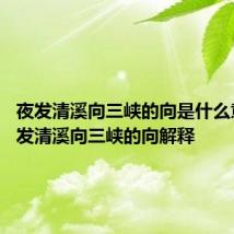 夜发清溪向三峡的向是什么意思 夜发清溪向三峡的向解释