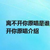 离不开你原唱是谁 离不开你原唱介绍