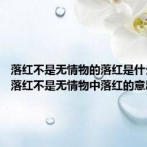 落红不是无情物的落红是什么意思 落红不是无情物中落红的意思
