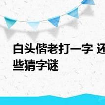 白头偕老打一字 还有哪些猜字谜