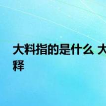 大料指的是什么 大料解释