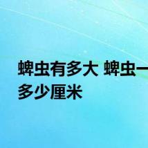 蜱虫有多大 蜱虫一般有多少厘米