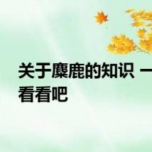 关于麋鹿的知识 一起来看看吧