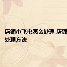 店铺小飞虫怎么处理 店铺小飞虫处理方法