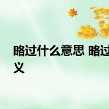 略过什么意思 略过的含义