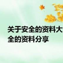 关于安全的资料大全 安全的资料分享
