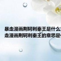 暴走漫画荆轲刺秦王是什么意思 暴走漫画荆轲刺秦王的意思是什么