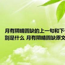 月有阴晴圆缺的上一句和下一句分别是什么 月有阴晴圆缺原文及翻译