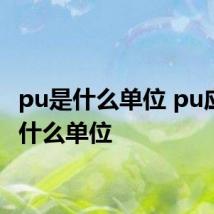 pu是什么单位 pu应该是什么单位