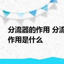 分流器的作用 分流器的作用是什么