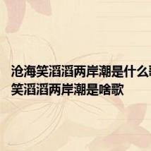 沧海笑滔滔两岸潮是什么歌 沧海笑滔滔两岸潮是啥歌