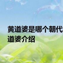 黄道婆是哪个朝代的 黄道婆介绍