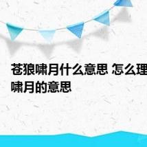 苍狼啸月什么意思 怎么理解苍狼啸月的意思