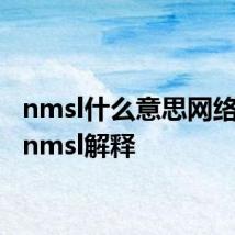 nmsl什么意思网络用语 nmsl解释