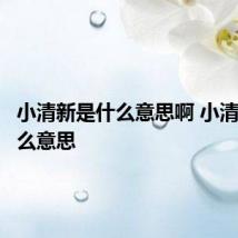 小清新是什么意思啊 小清新是什么意思