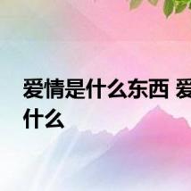 爱情是什么东西 爱情是什么