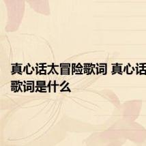 真心话太冒险歌词 真心话太冒险歌词是什么