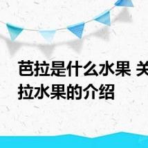 芭拉是什么水果 关于芭拉水果的介绍