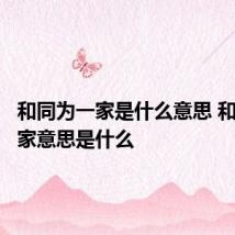 和同为一家是什么意思 和同为一家意思是什么
