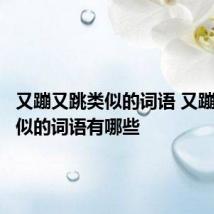 又蹦又跳类似的词语 又蹦又跳类似的词语有哪些