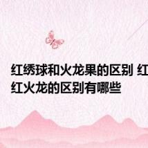 红绣球和火龙果的区别 红绣球跟红火龙的区别有哪些