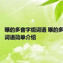 曝的多音字组词语 曝的多音字组词语简单介绍