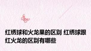红绣球和火龙果的区别 红绣球跟红火龙的区别有哪些