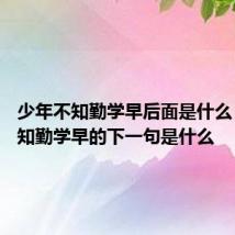 少年不知勤学早后面是什么 少年不知勤学早的下一句是什么