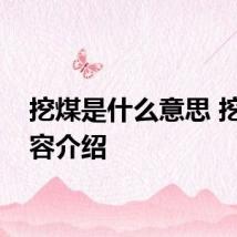 挖煤是什么意思 挖煤内容介绍