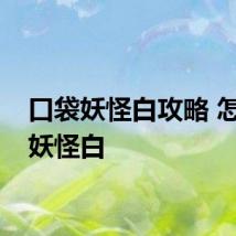 口袋妖怪白攻略 怎么过妖怪白