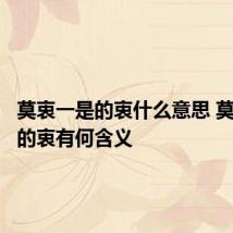 莫衷一是的衷什么意思 莫衷一是的衷有何含义