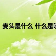 麦头是什么 什么是唛头