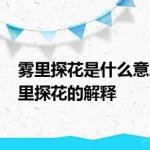 雾里探花是什么意思 雾里探花的解释