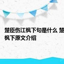 楚臣伤江枫下句是什么 楚臣伤江枫下原文介绍